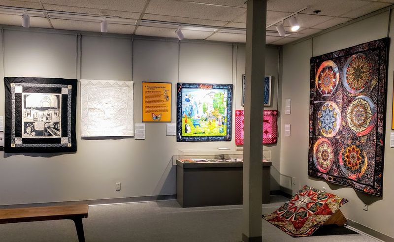 Rotating Exhibitions That Keep Every Visit Fresh