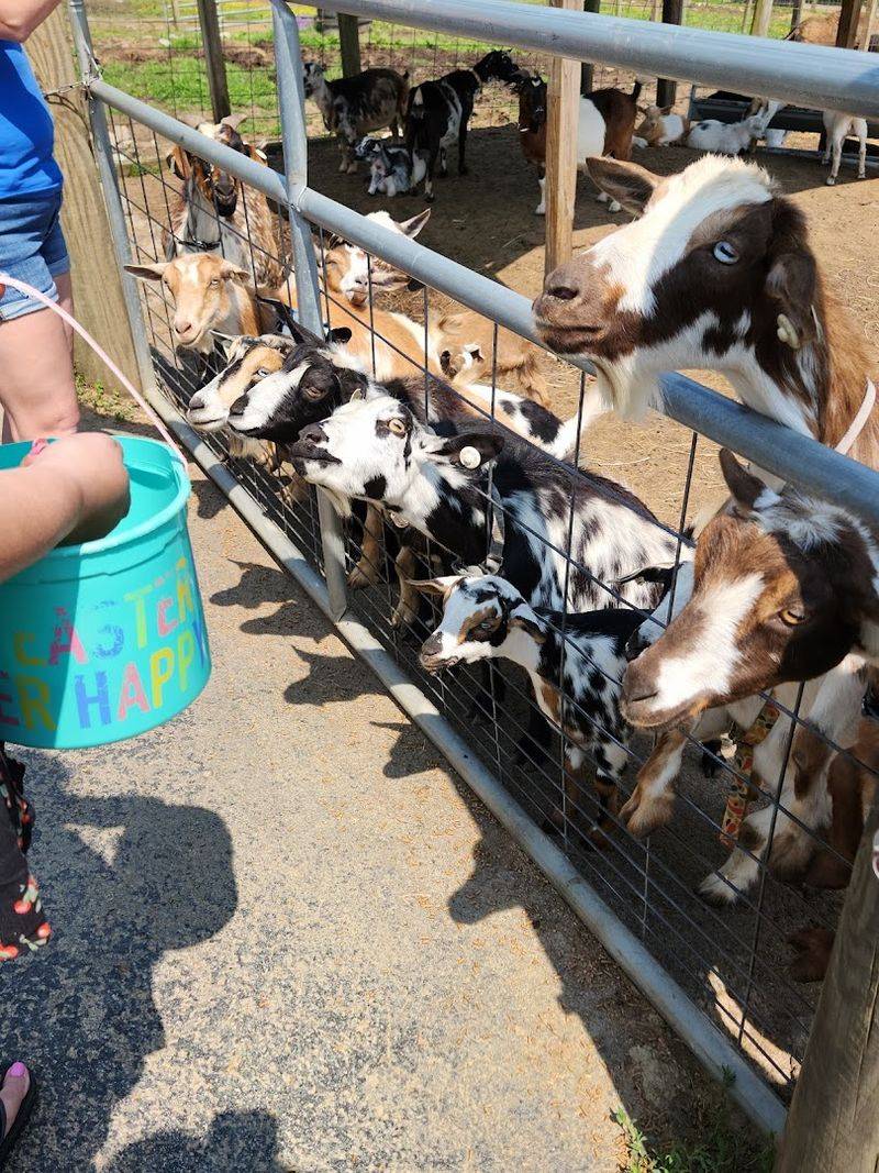 Admission Prices That Make A Full Family Outing Genuinely Affordable