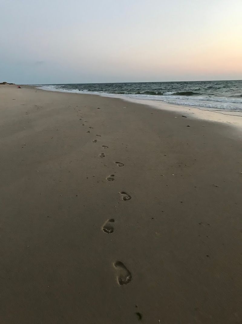 Who This Beach Is Really Made For