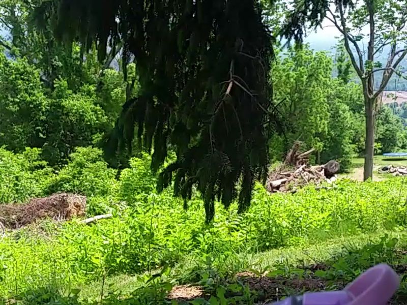 Fun Educational Programs About Fruit Cultivation