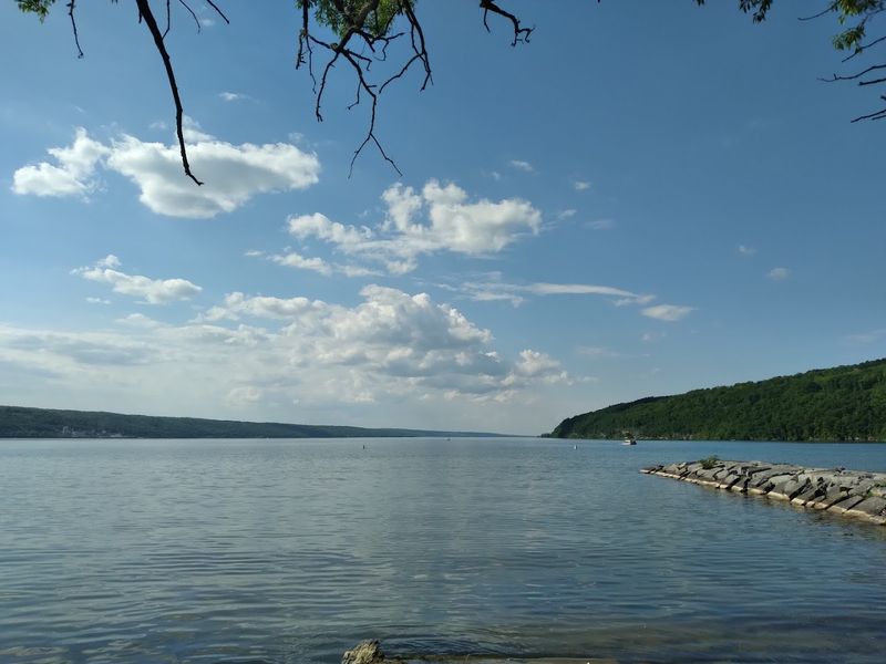 Seneca Lake Shores (Schuyler County, Finger Lakes, Watkins Glen Area)