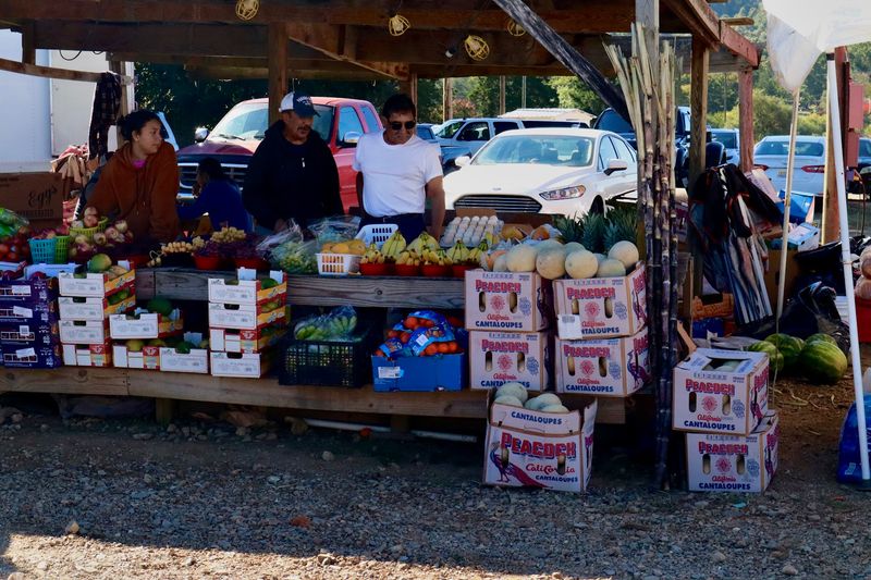 Farm-Fresh Finds You Cannot Get At The Grocery Store