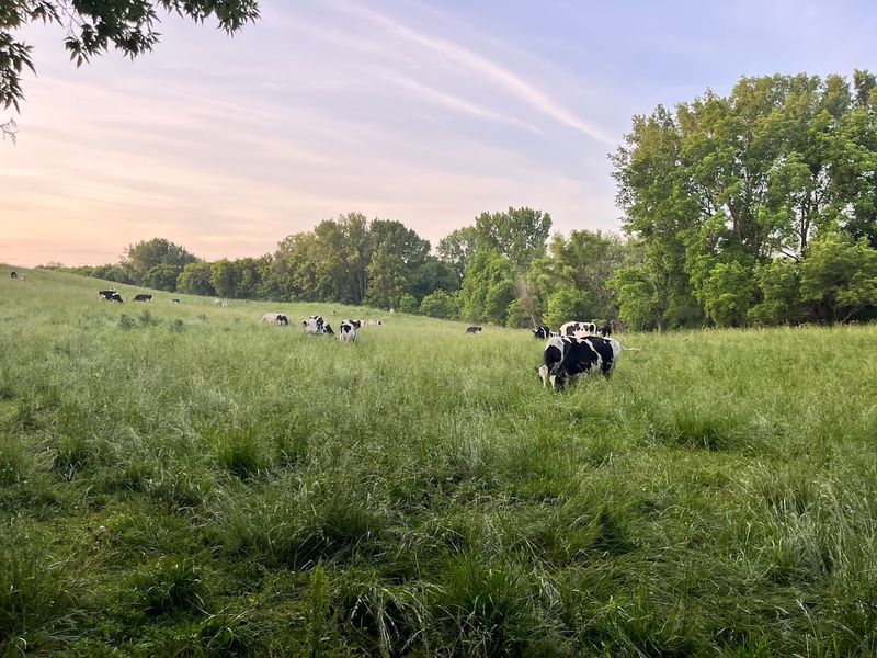 Zweber Farms