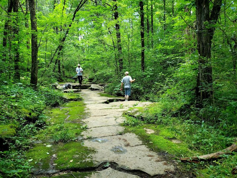 Cedars Of Lebanon State Park Draws Outdoor Enthusiasts Year-Round