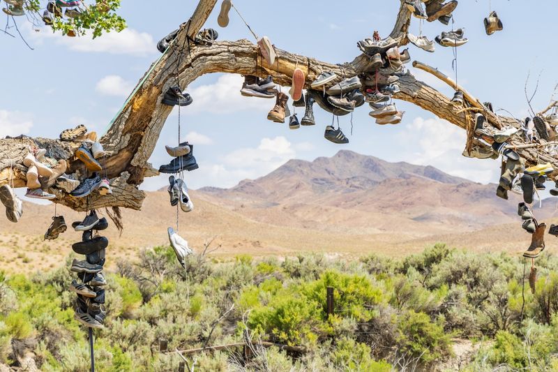 Shoe Tree Of Middlegate