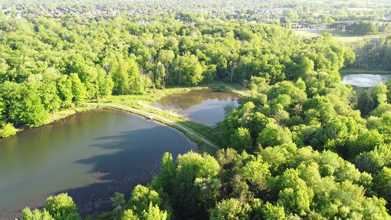 Reinstein Woods Nature Preserve