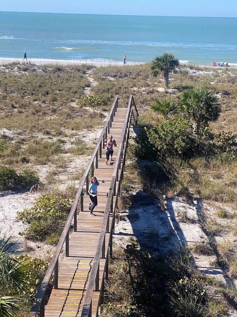 Unique Wildlife And Natural Surroundings