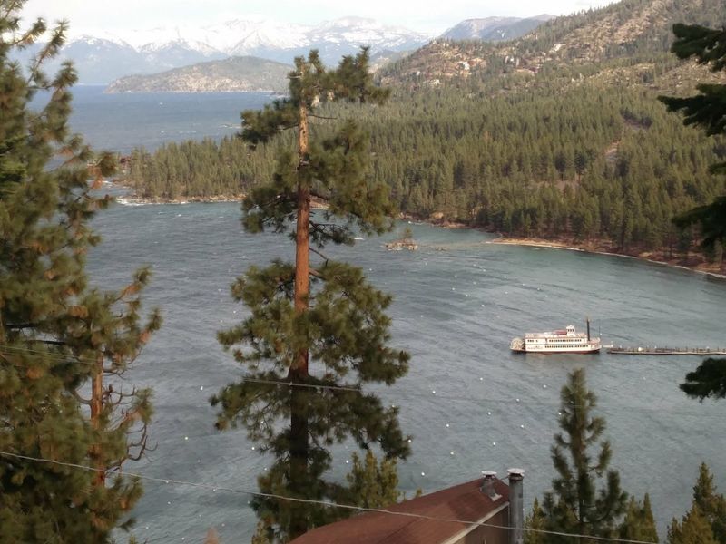 The Forest Offers Cooler Mountain Escapes Near Desert Towns