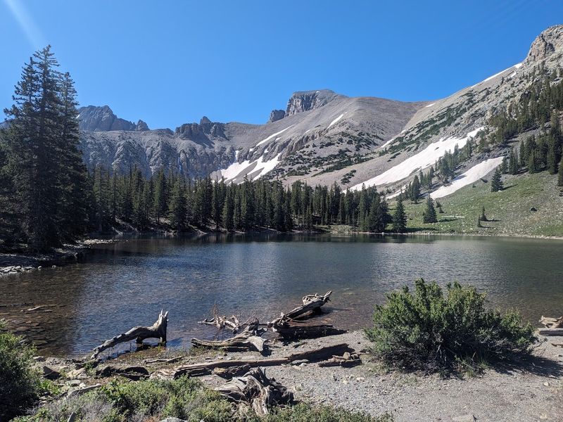 The Campground Sits At Nearly 10,000 Feet