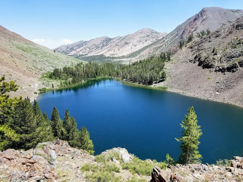 The Forest Covers About 6.3 Million Acres