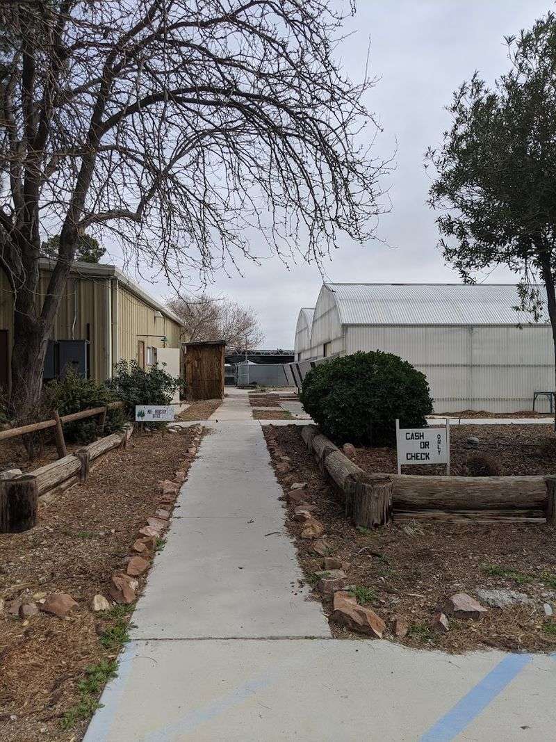 A Century Old Adobe Building Still Stands On The Grounds