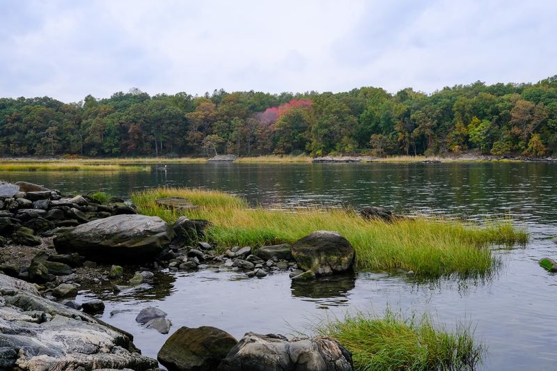 Pelham Bay Park Hunter Island And Twin Islands