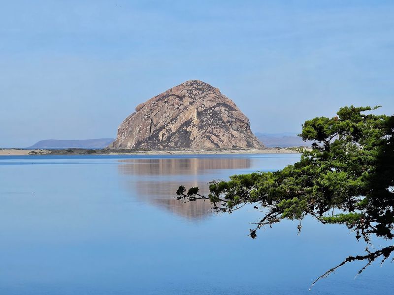 Morro Bay State Park Campground, Morro Bay
