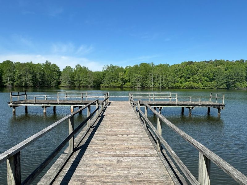 July: Wall Doxey State Park, Holly Springs