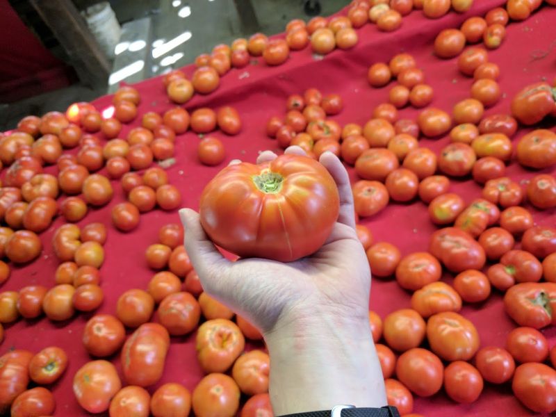 Customers Who Cross State Lines For A Basket Of Tomatoes