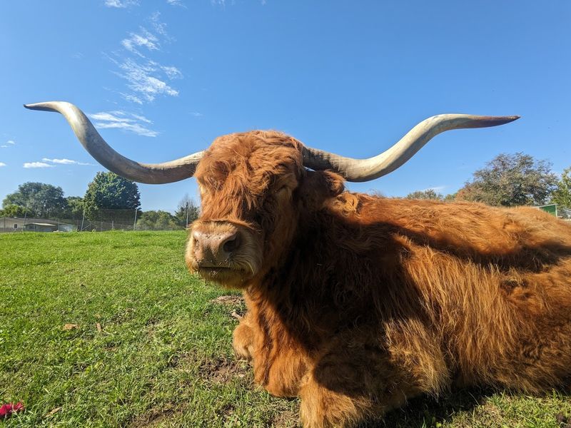 Hayrides And Pony Rides Add To The Classic Farm Fun