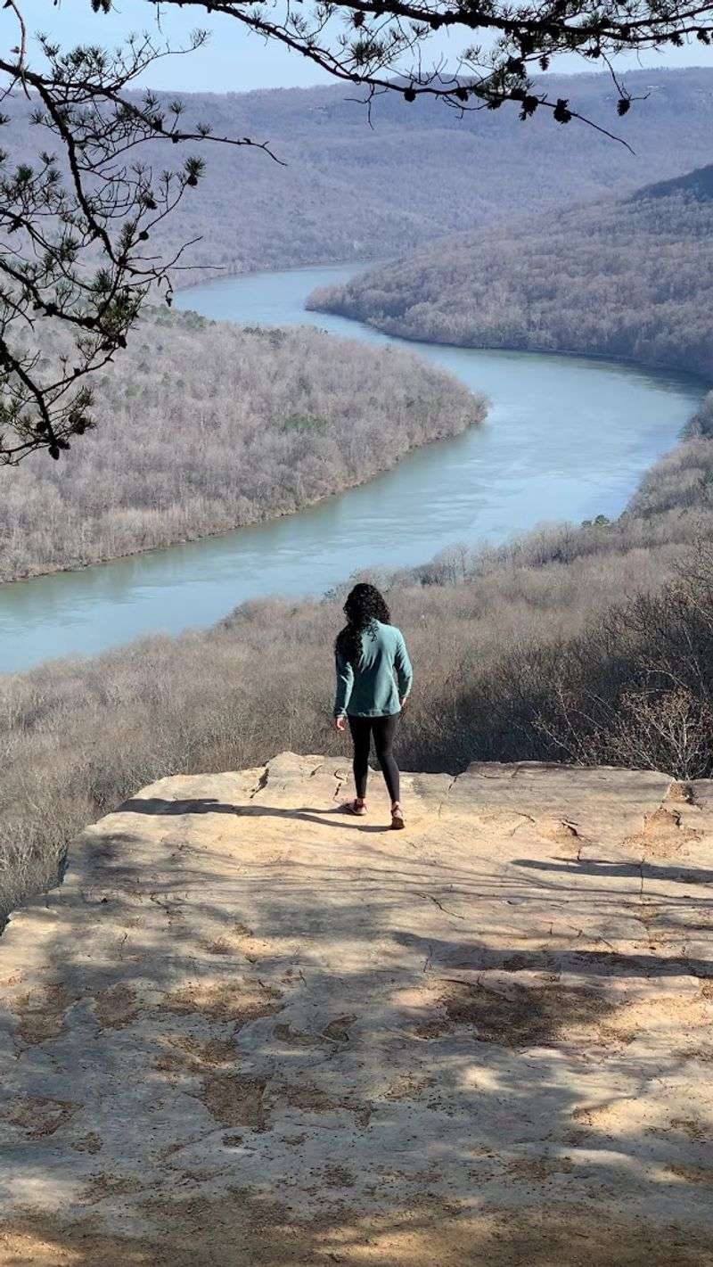 Snoopers Rock, Prentice Cooper State Forest
