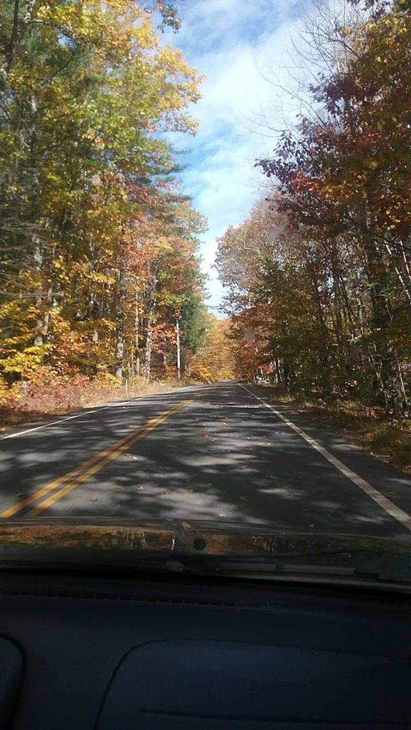 Pittsfield