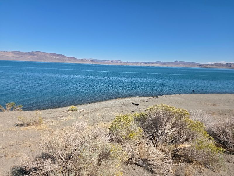 Pyramid Lake, Nixon