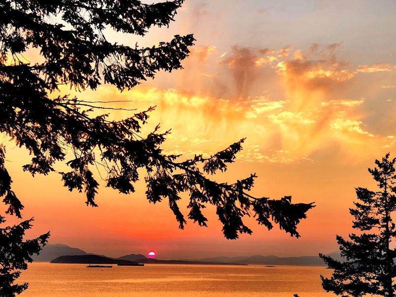Dogfish Point Overlook Views