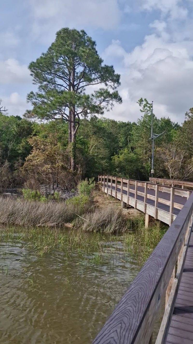 Davis Bayou Nature Trail (Gulf Islands National Seashore)
