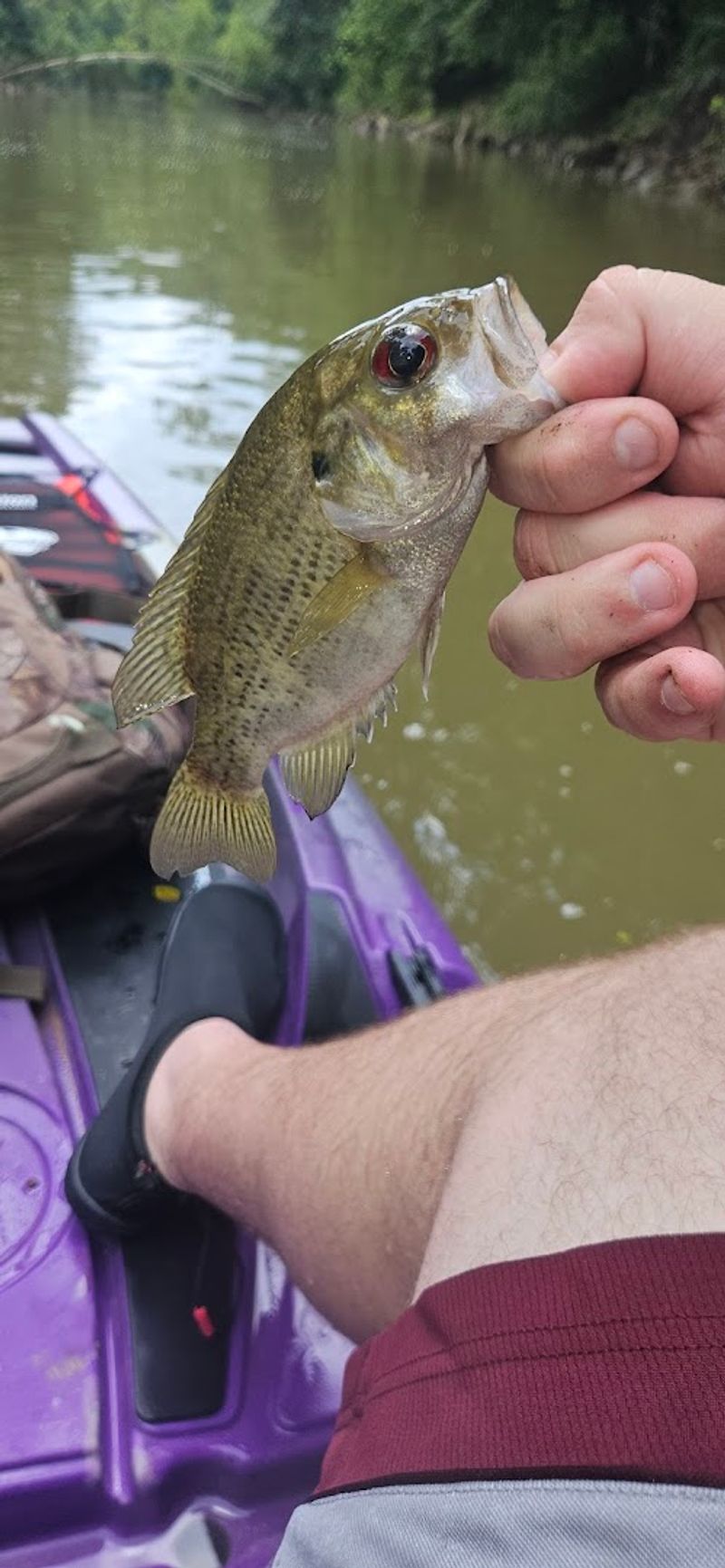 Fishing Like A Pro