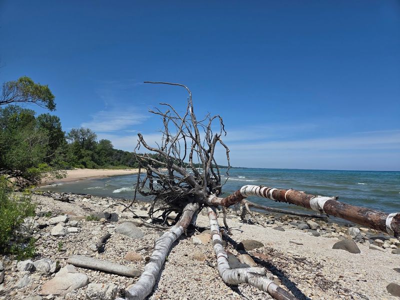Old Pier Remnants Tell A Forgotten Shipping Story