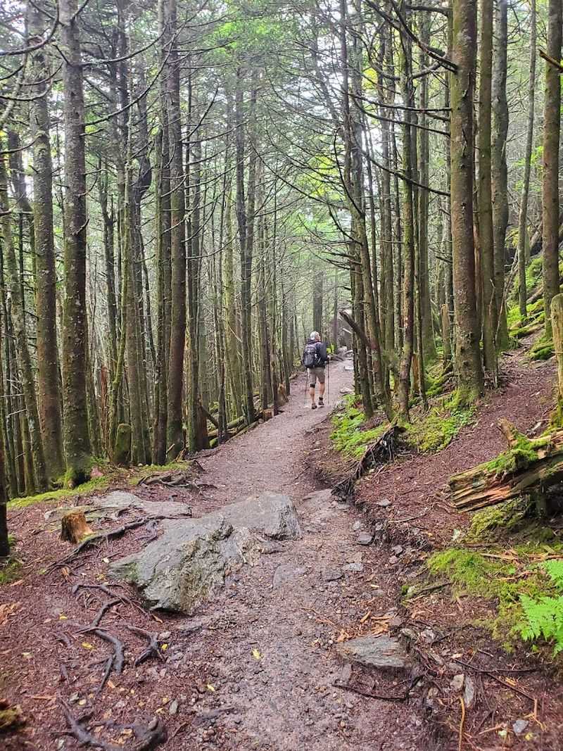 Nature Trails And Hiking Experiences