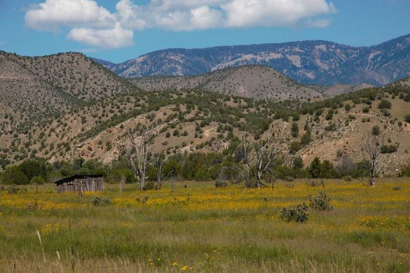 Seasonal Weather Patterns And Best Times To Visit
