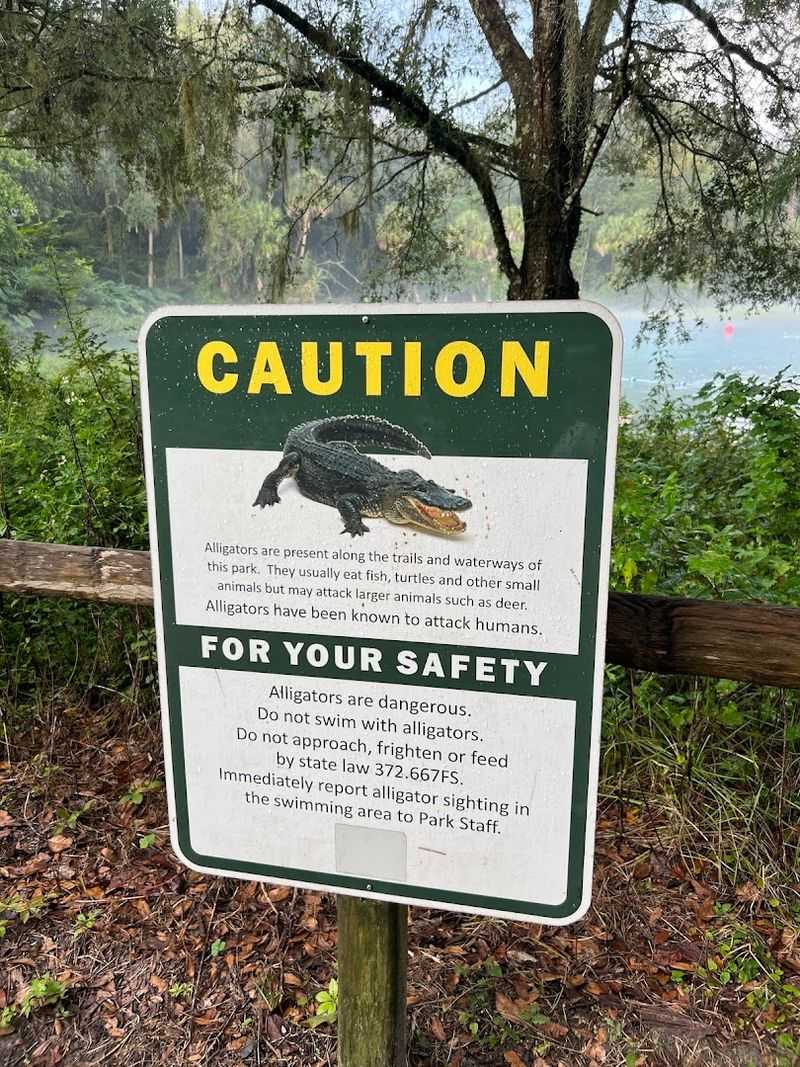 Safety Tips For Swimming And Boating