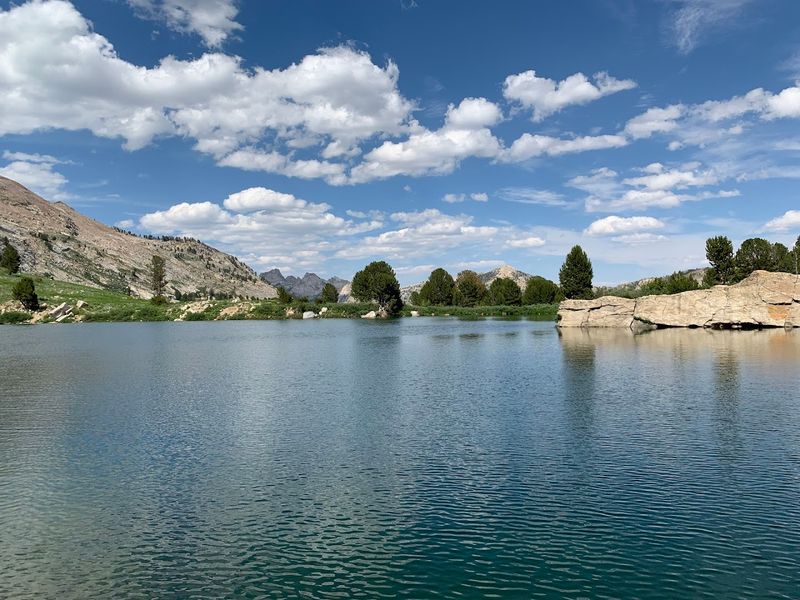 Conservation Efforts Protecting Natural Resources