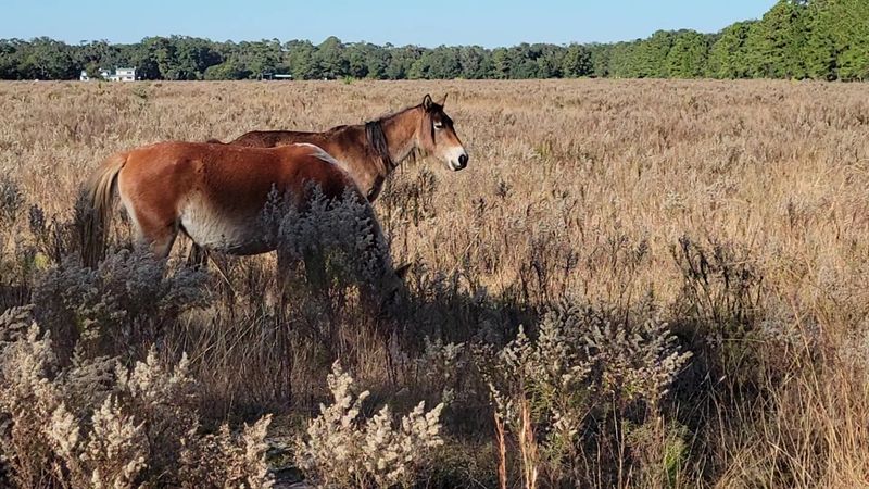 Best Times To Visit For Weather And Wildlife