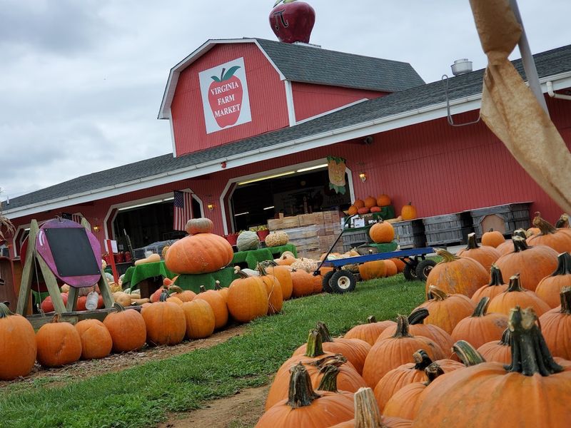 A Fall Season Experience Like No Other