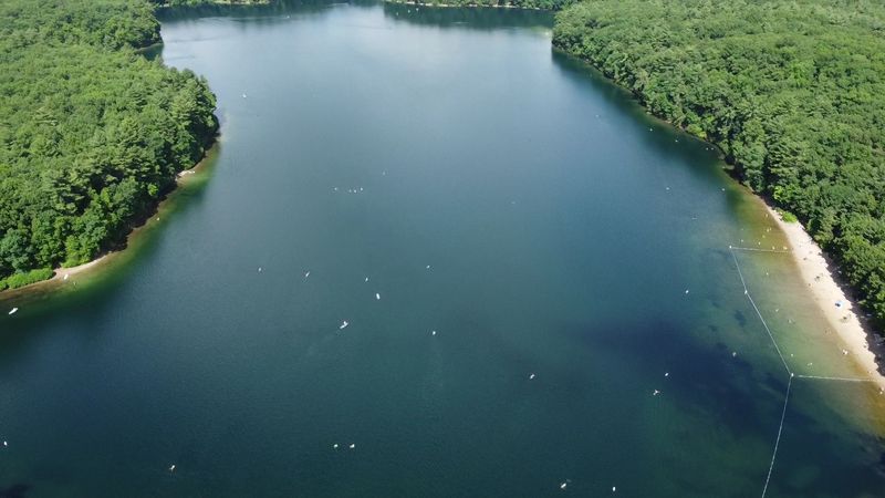 Phosphorus And Algae Are The Invisible Enemies Of Clear Water