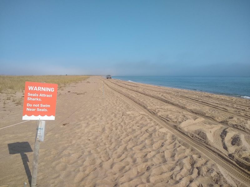 Cape Poge Wildlife Refuge, Chappaquiddick Island