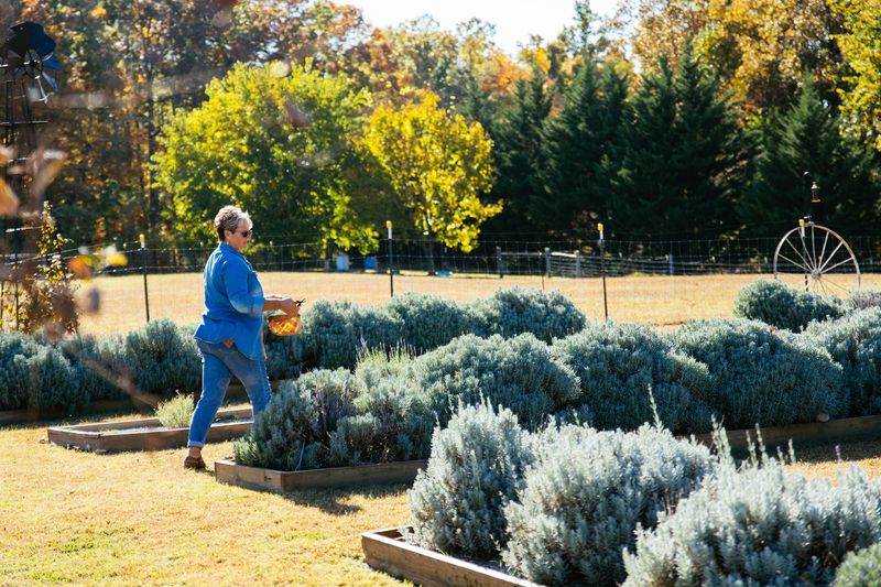 A Veteran-Owned Farm With Heart And History