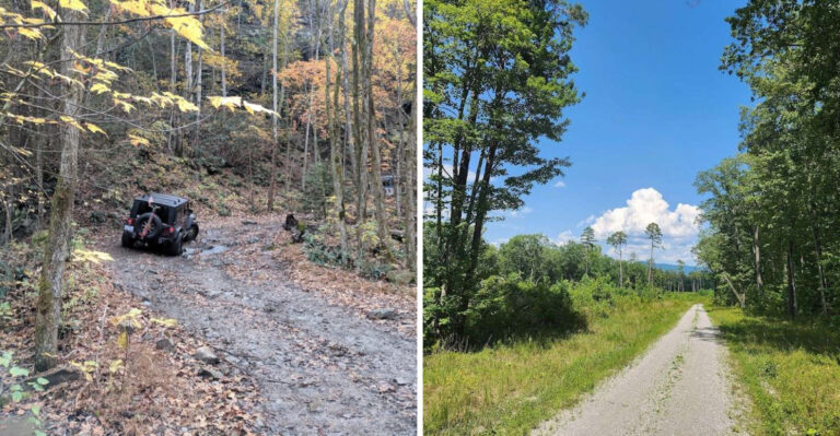 Lose Yourself In Over 85,000 Acres Of Untamed Tennessee Wilderness Where Trails Seem Endless