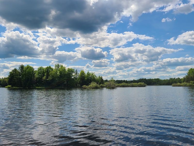 Willow Flowage, Oneida County
