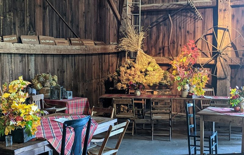 The Orchard Cafe And Saturday Vibes