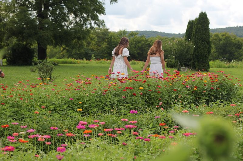 The Bedford County Farmers Market Connection