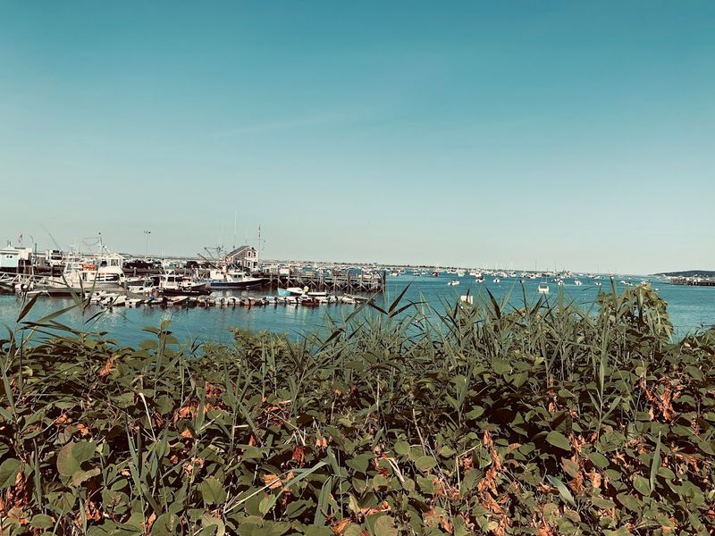 Plymouth's Waterfront, Plymouth