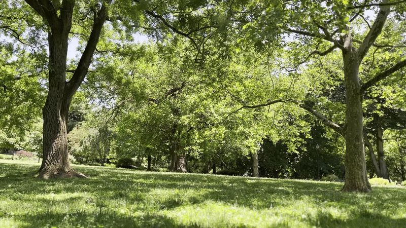 Isham Park
