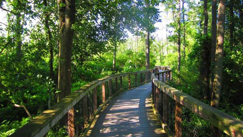 Trails That Take You Somewhere Real