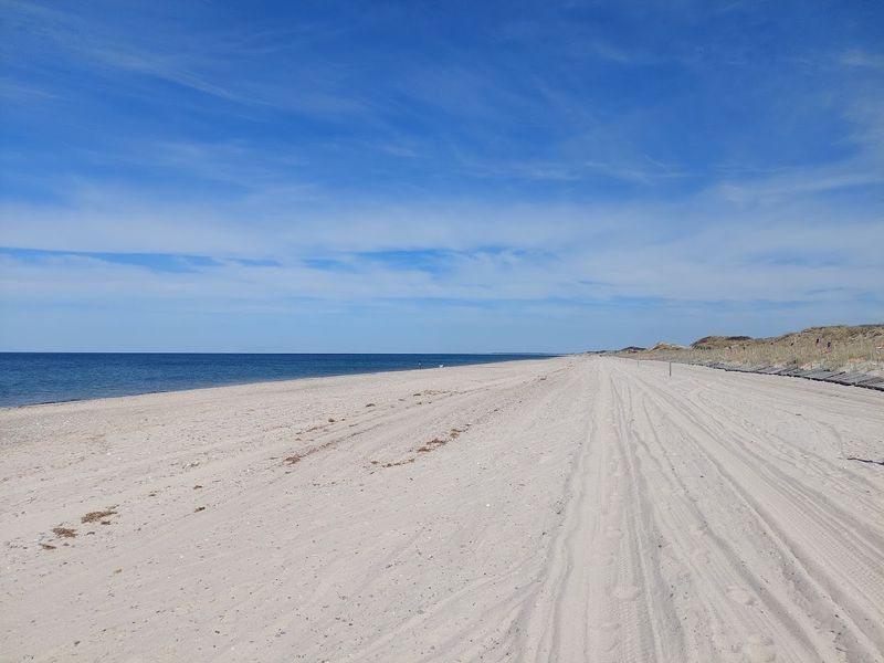 Sandy Neck Beach, Barnstable