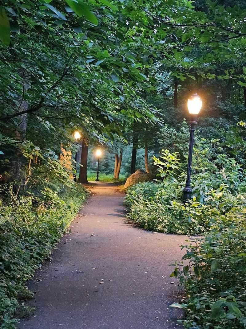 Forest Park Hiking Trails
