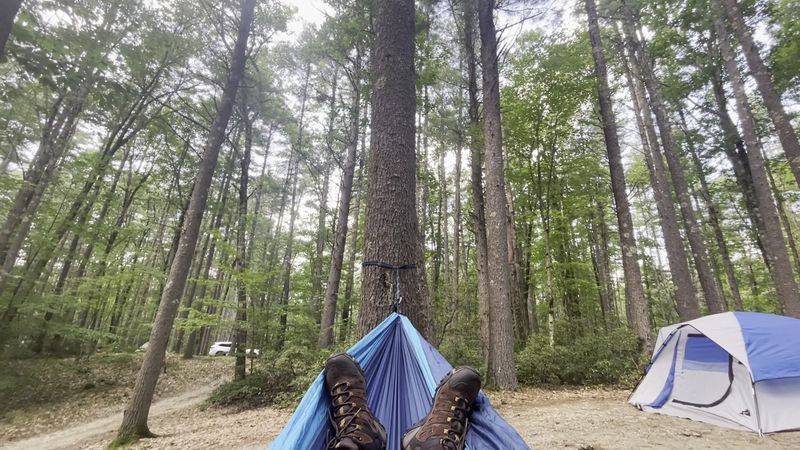 The Woodland Camping Experience That Feels Genuinely Private
