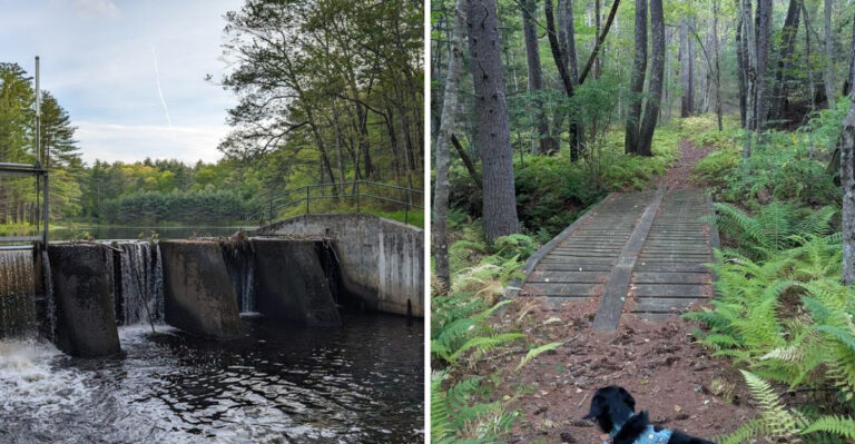 Massachusetts Has A Park So Calm It Feels Like A Peaceful Escape From The Everyday Rush