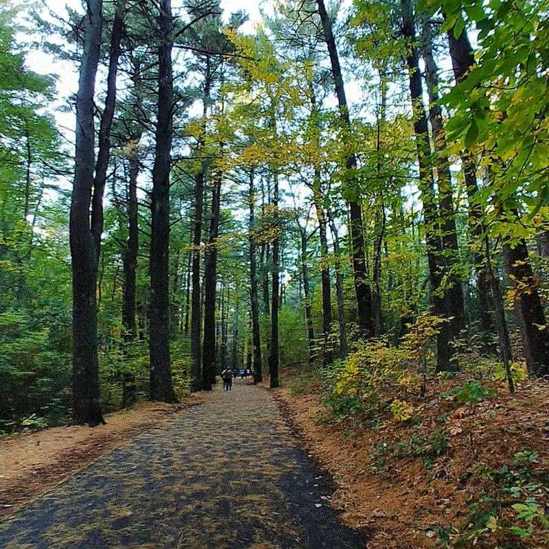 The Trails That Make You Forget You Are Near A City