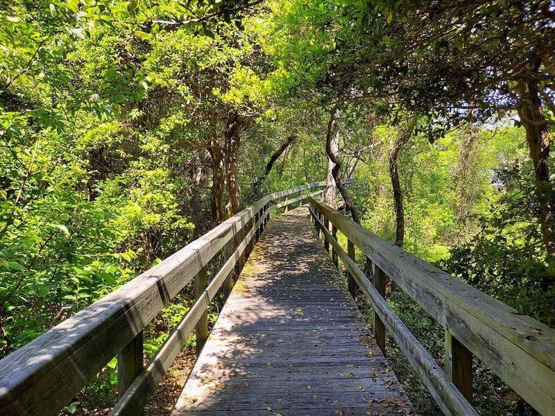June — Fire Island National Seashore
