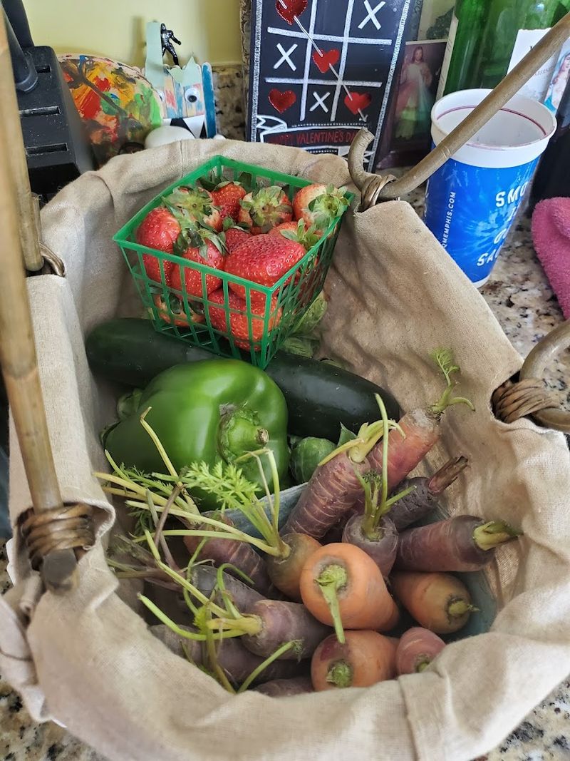 Ocean Springs Fresh Market